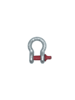 Bow Shackle Zinc Rated
